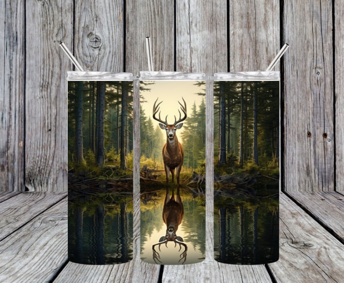 deer water reflection