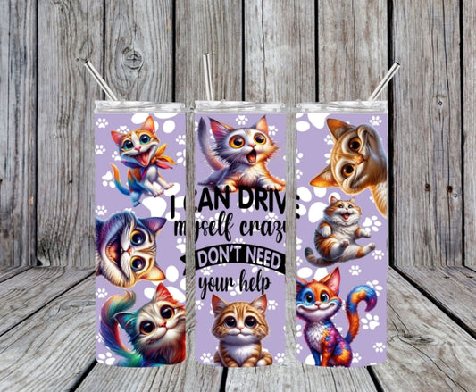 I CAN DRIVE MYSELF CRAZY